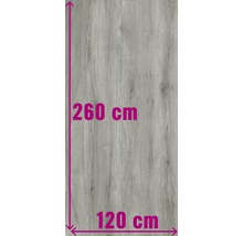 XXL Feinsteinzeug Wand- und Bodenfliese Count Grey 120x260 cm-thumb-0
