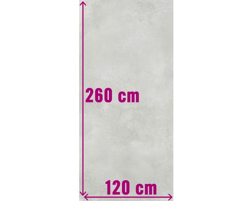 Carrelage sol et mur XXL Fresh Ash Natural 120x260 cm