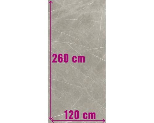 Carrelage sol et mur XXl Always Taupe Natural 120x260 cm