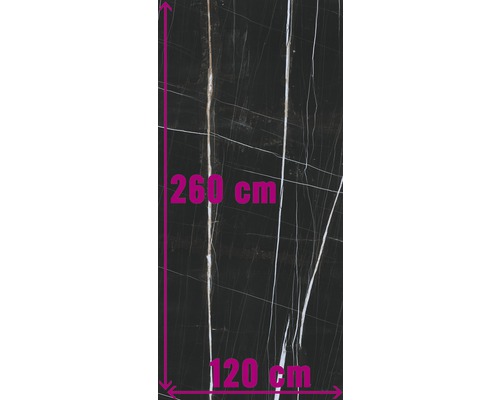 XXL Feinsteinzeug Wandfliese Scandium Black poliert 120x260 cm 7mm