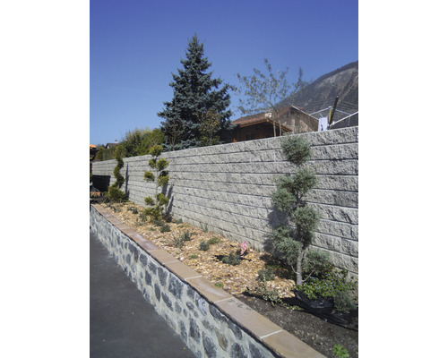 Jardin avec mur de soutènement en pierre, planté d''arbres et d''arbustes.