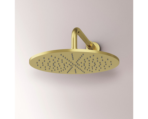 Pomme de douche à effet pluie dorée pour la douche