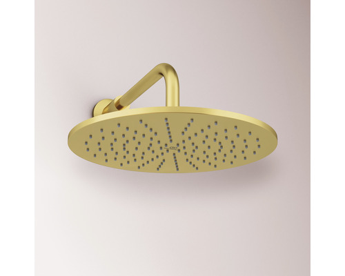 Pomme de douche effet pluie dorée pour la douche