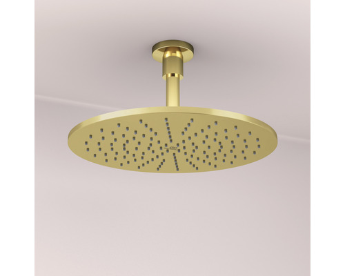 Pomme de douche couleur or pour montage au plafond