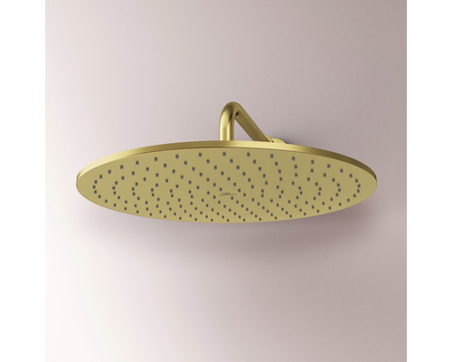 Pomme de douche de tête ronde pour montage au plafond