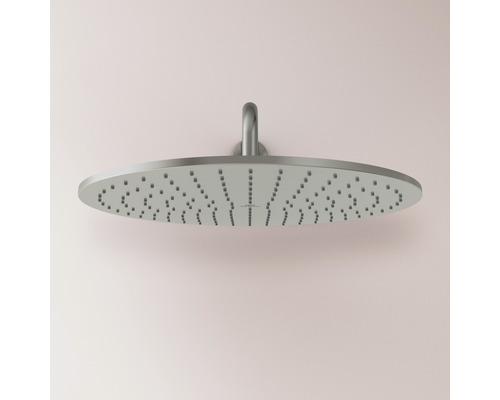 Pomme de douche pour douche