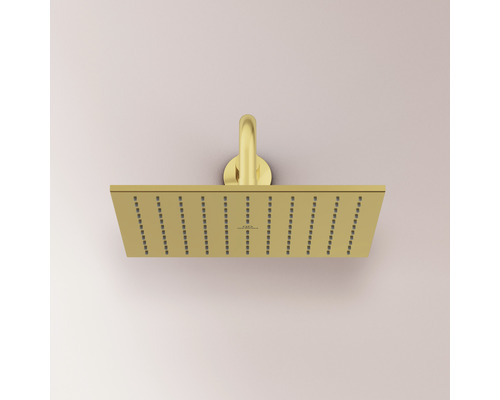 Pommeau de douche rectangulaire pour montage au plafond