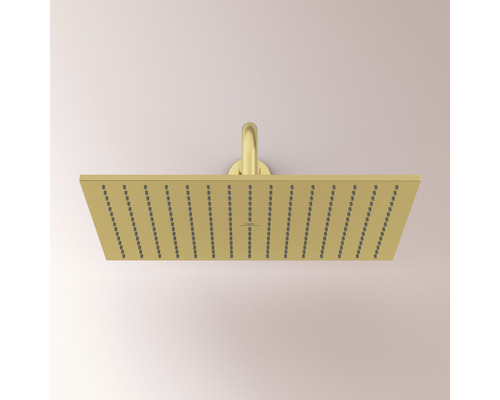 Pomme de douche carrée avec raccord