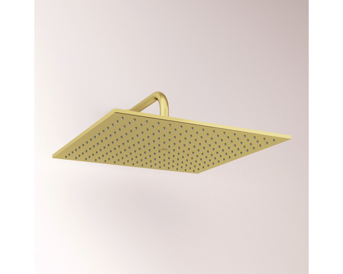 Pomme de douche carrée avec bras de douche