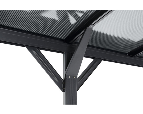 Vue détaillée de la structure de support stable d''un pavillon avec un toit transparent