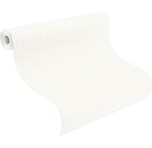 Tapetenrolle mit Punktmuster