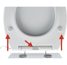 Detailansicht eines Toilettensitzes mit abnehmbarer Funktion