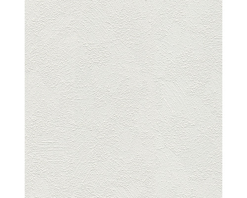 Papier peint intissé 1036-11 Meistervlies ProProtect crépi strié blanc