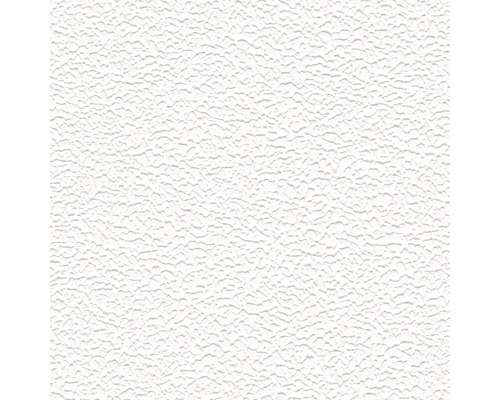 Papier peint intissé 2458-16 Meistervlies ProProtect crépi fin blanc