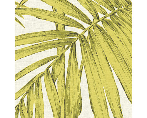 Papier peint à motif de feuilles de palmier