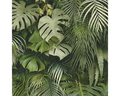 Arrangement dense de feuilles tropicales en décoration