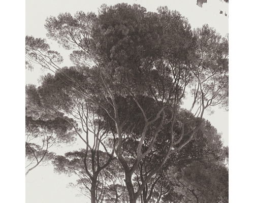 Papier peint photo avec motif d''arbre