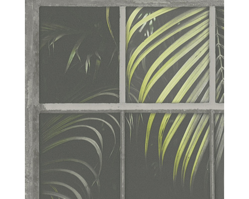 Papier peint avec cadre de fenêtre et motifs de plantes tropicales