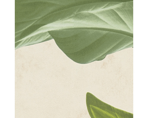 Nahaufnahme von Pflanzen auf einem neutralen Hintergrund