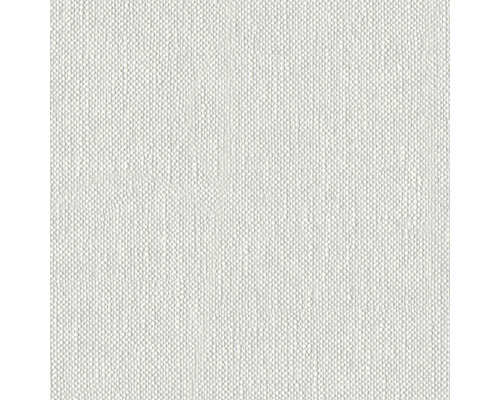 Papier peint intissé 9656-15 Meistervlies ProProtect crépi moucheté blanc