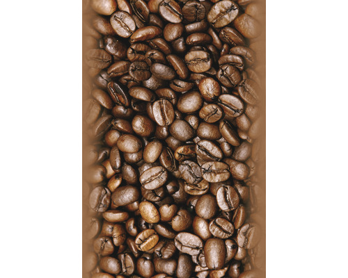 Gros plan sur des grains de café