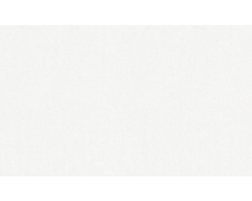 Weisser Hintergrund.