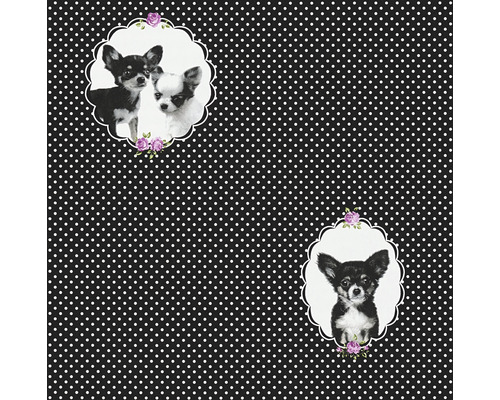 Papier peint intissé 35851-2 Little Stars Chiwawa noir Papier peint avec motifs de chihuahua et motif à pois
