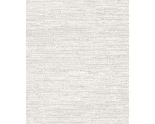 Papier peint avec une fine texture horizontale