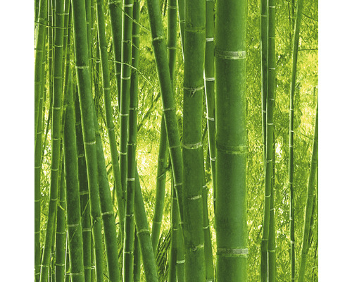Papier peint forêt de bambous
