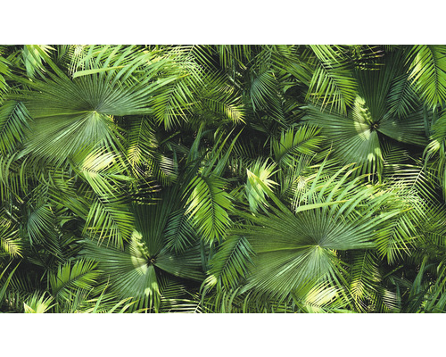 Dense assemblage de différentes feuilles de palmier vertes