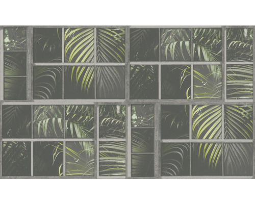 Papier peint avec motif de fenêtre et plantes tropicales