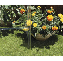 Jardin avec fleurs, gazon synthétique et écran d''intimité