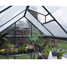 Serre avec plantes et arrosoir
