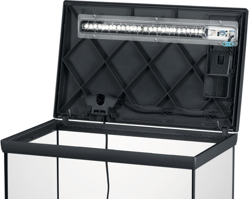 Aquarium ouvert avec éclairage dans le couvercle