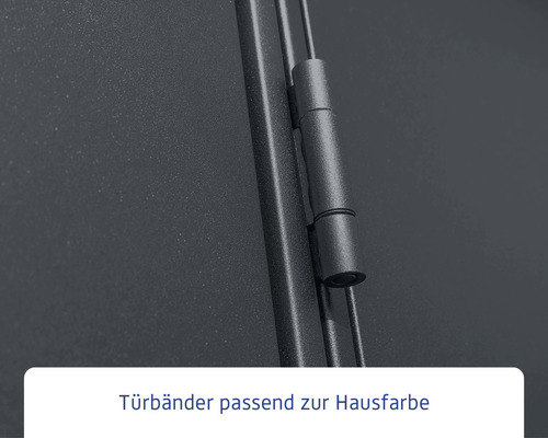 Detailansicht eines Türbands an einer Haustür