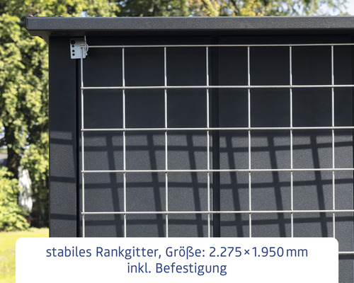 Stabiles Rankgitter mit einer Größe von 2275 x 1950 Millimeter inklusive Befestigung