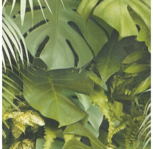 Vue détaillée d''un papier peint avec des feuilles tropicales