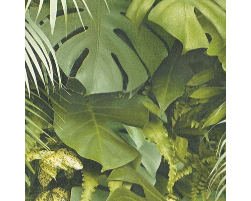 Vue détaillée d''un papier peint avec des feuilles tropicales