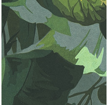 Gros plan de feuilles vertes