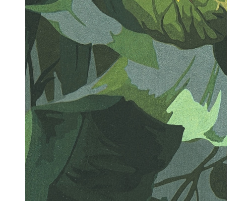 Gros plan de feuilles vertes