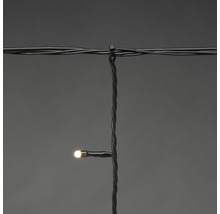 Lichterkette mit einer warmweißen LED an einem schwarzen Kabel befestigt