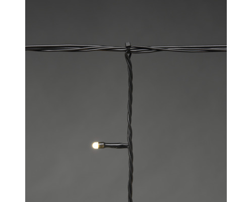 Lichterkette mit einer warmweißen LED an einem schwarzen Kabel befestigt