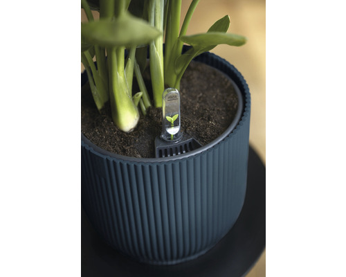 Pot de fleurs avec humidimètre pour l''entretien des plantes