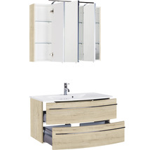 Badezimmer-Set mit Waschbeckenunterschrank, Waschbecken und Spiegelschrank