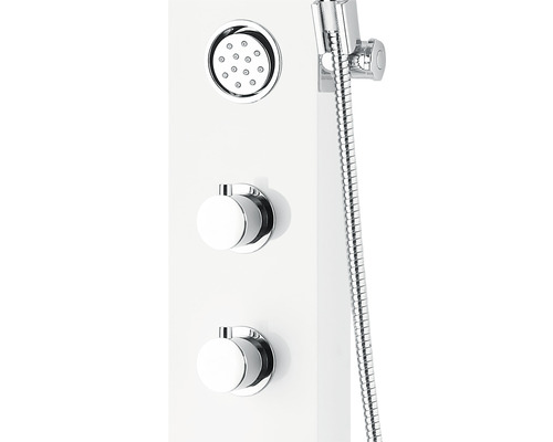 Panneau de douche avec douche de tête, douchette à main et éléments de commande