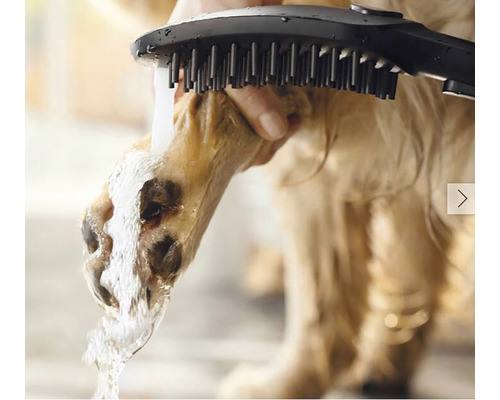 Patte de chien nettoyée à l''eau et à la brosse