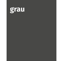 Couleur grise