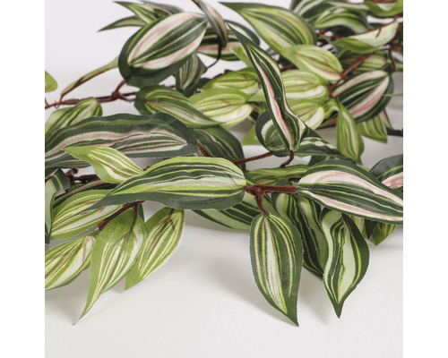 Tradescantia artificielle avec feuilles rayées
