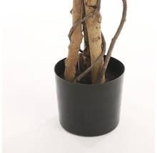 Kunstpflanze Ficus Hawalli, grün-thumb-4