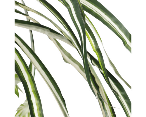 Detailaufnahme von künstlichen Grünlilienblättern